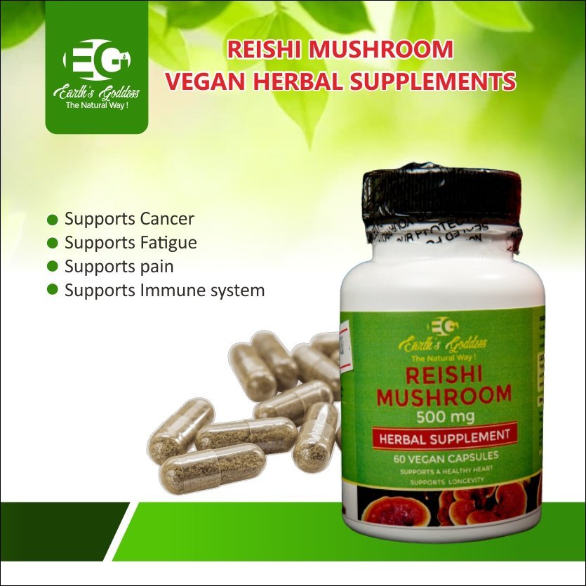 REISHI-MUSHROOM.jpg Reishi Mushroom Longevity Capsules - Image 1