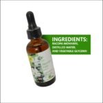 Brahmi/Bacopa Cognitive Tincture - Image 3