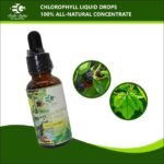 Chlorophyll Mint Liquid Drops - Image 4