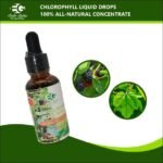 Chlorophyll Mint Liquid Drops - Image 2